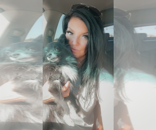 Medium Photo #1  Breeder Profile in FINLEY, MO, USA