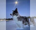 Small #47 Breeder Profile image