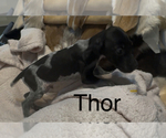 Small #2 Breeder Profile image