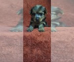 Small #276 Breeder Profile image