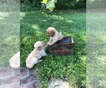 Small #6 Breeder Profile image