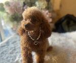 Small #2 Breeder Profile image