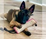 Small #8 Breeder Profile image