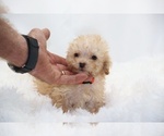 Small #3 Breeder Profile image