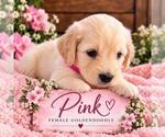 Small #22 Breeder Profile image