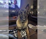 Small #5 Breeder Profile image