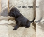 Small #2 Breeder Profile image