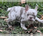 Small #6 Breeder Profile image