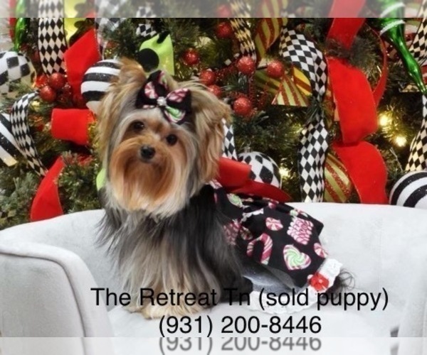 Medium Photo #1  Breeder Profile in CROSSVILLE, TN, USA