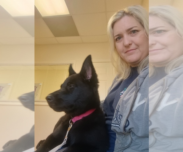 Medium Photo #1  Breeder Profile in SCREVEN, GA, USA