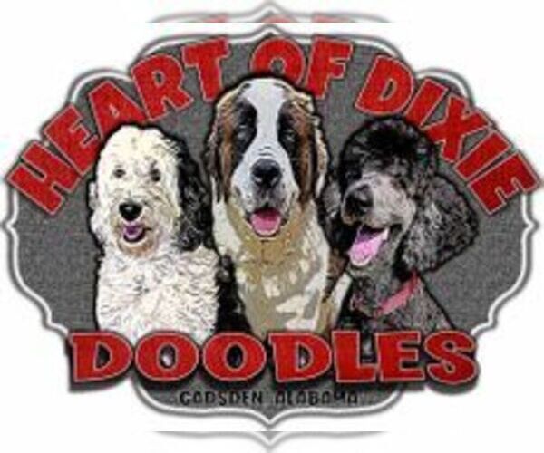 Medium Photo #1  Breeder Profile in GADSDEN, AL, USA