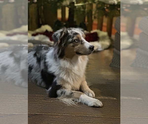 Medium Photo #14  Breeder Profile in BETHANY, CT, USA