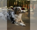 Small Photo #14  Breeder Profile in BETHANY, CT, USA