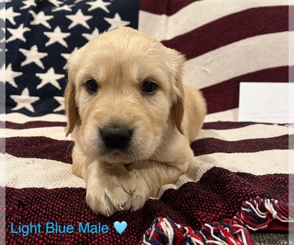 Medium Photo #43  Breeder Profile in SWEETWATER, TN, USA