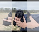Small #16 Breeder Profile image