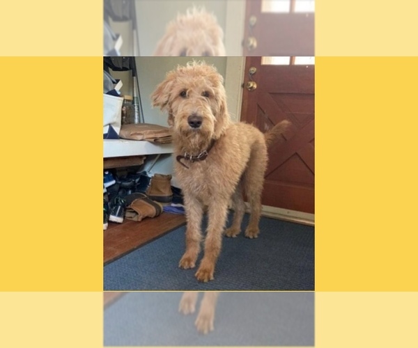 Medium Photo #10  Breeder Profile in CLEVELAND, OH, USA