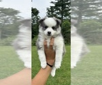 Small #8 Breeder Profile image
