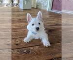 Small #9 Breeder Profile image