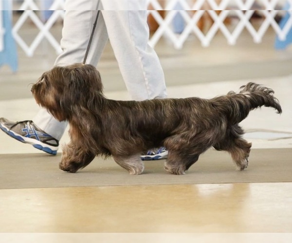 Medium Photo #7  Breeder Profile in LAKESIDE, CA, USA