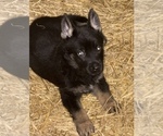 Small #5 Breeder Profile image