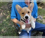 Small #1 Breeder Profile image