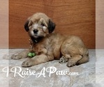 Small #6 Breeder Profile image