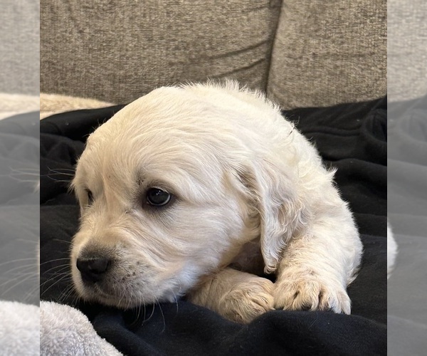 Medium Photo #5  Breeder Profile in MONROE, OR, USA