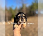 Small #8 Breeder Profile image