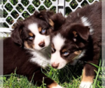 Small #40 Breeder Profile image