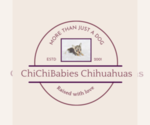 Small #2 Breeder Profile image