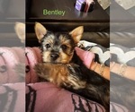 Small #15 Breeder Profile image