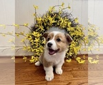 Small breeder photo