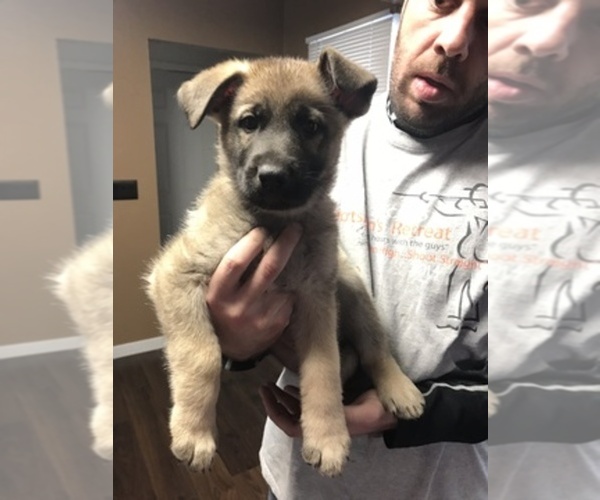Medium Photo #1  Breeder Profile in CLEAR LAKE, IA, USA
