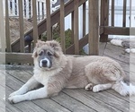 Small #69 Breeder Profile image