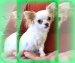 Small #3 Breeder Profile image