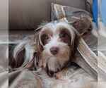 Small #8 Breeder Profile image