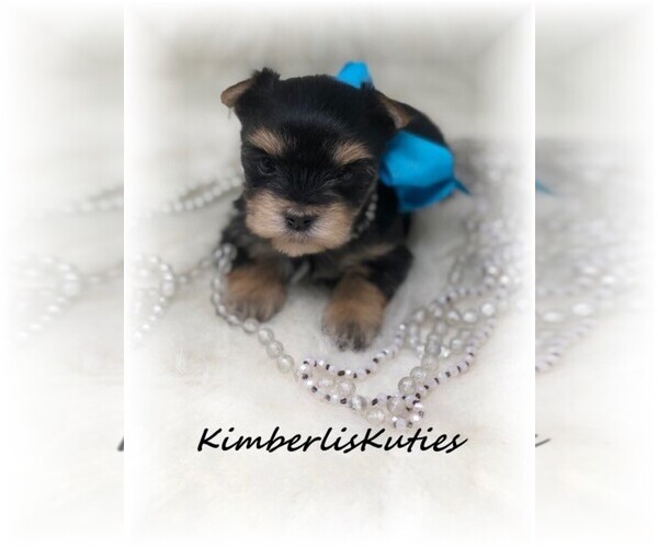 Medium Photo #1  Breeder Profile in LIPAN, TX, USA