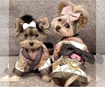 Small #5 Breeder Profile image