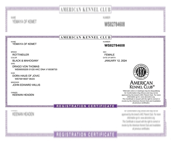 Medium Photo #4  Breeder Profile in BAHAMA, NC, USA