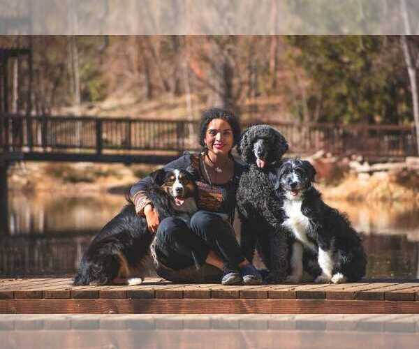 Medium Photo #1  Breeder Profile in HEALDSBURG, CA, USA