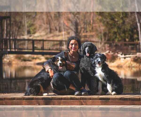 Medium Photo #1  Breeder Profile in HEALDSBURG, CA, USA