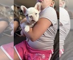 Small #3 Breeder Profile image