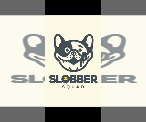 Medium Photo #1  Breeder Profile in LEMON GROVE, CA, USA