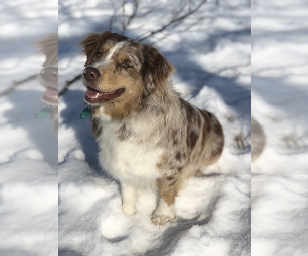 Medium Photo #5  Breeder Profile in BOUTON, IA, USA