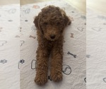 Small #7 Breeder Profile image
