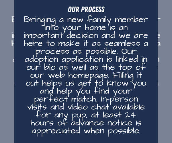 Medium Photo #3  Breeder Profile in GOSHEN, IN, USA