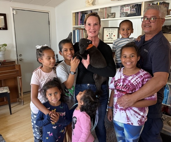 Medium Photo #8  Breeder Profile in MESA, AZ, USA