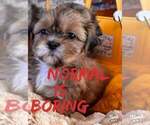 Small #1 Breeder Profile image
