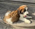 Small #2 Breeder Profile image