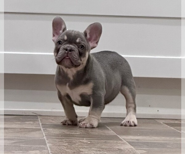 Medium Photo #1  Breeder Profile in FONTANA, CA, USA